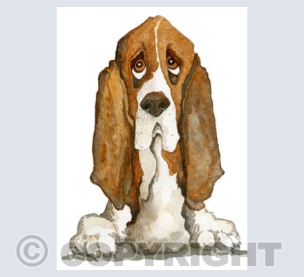 Bassett