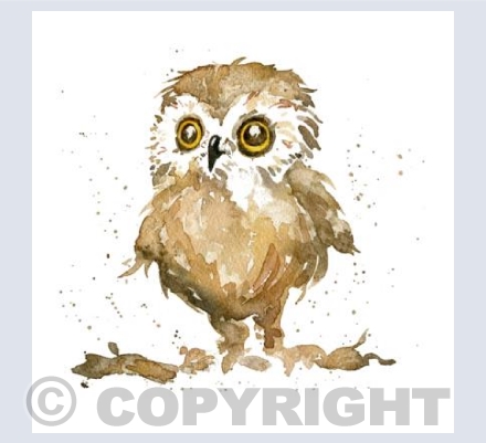 Owl Always Love You