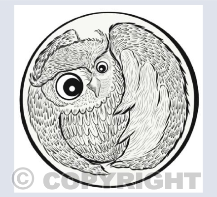 The Cheeky Owl