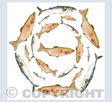 Trout