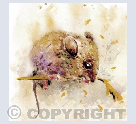 Cute Mouse
