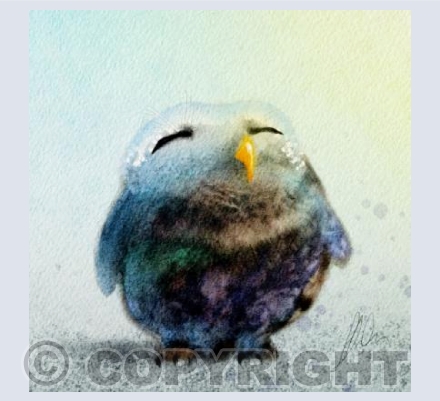 Happy little owl