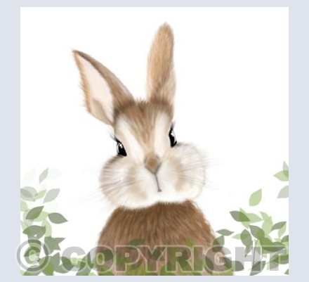 Curious bunny