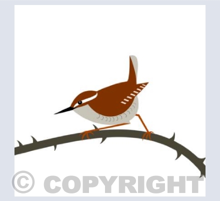 Wren