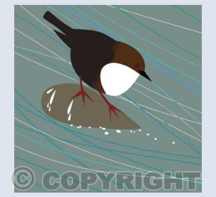Dipper