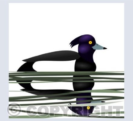 Tuftie