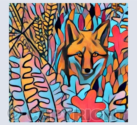 Fox Lox