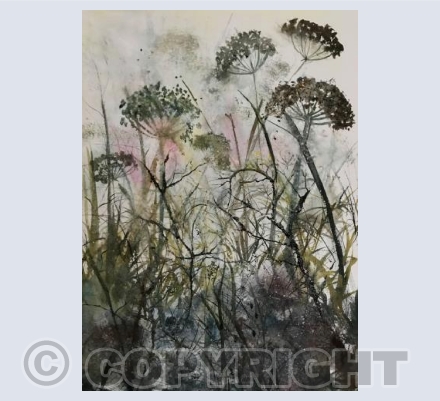 Hedgerow
