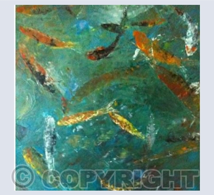 Koi