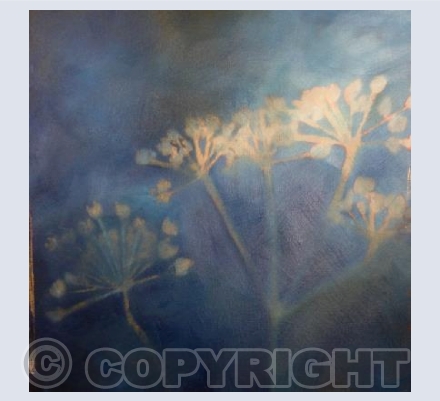 Seed Heads