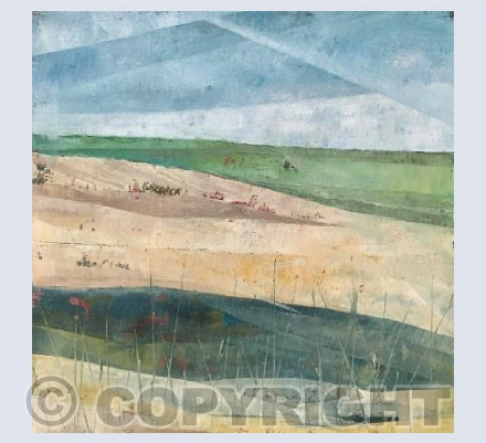 Salisbury Plain 1 