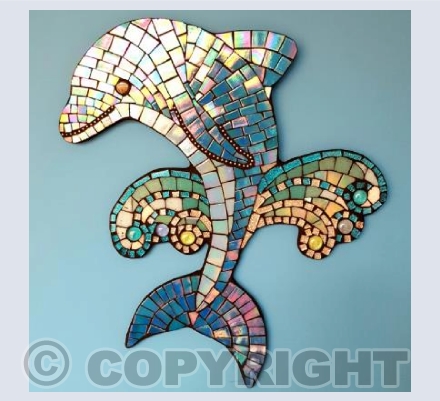 'Dolphin'