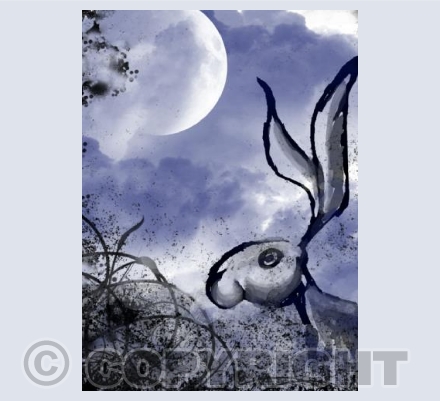 Moon Gazing Hare