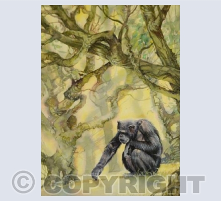 The End of the Corridor