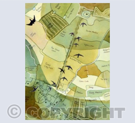 When the Swifts arrive the Hobby will soon follow