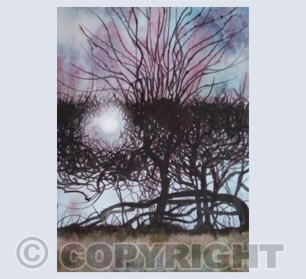 Will o the Wisp at the Devil's Mouthpiece. Made for the Arts Council funded Where Dragons lead project.