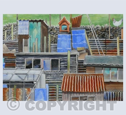 Chicken at the Allotments