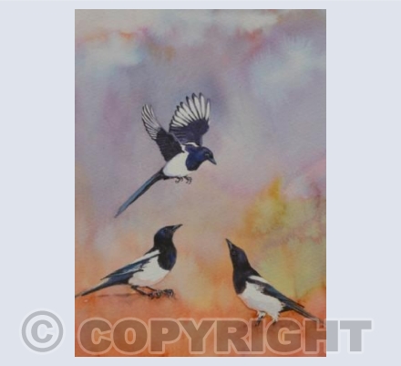 On Chatterpie Hill. Made for the Arts Council funded Where Dragons lead project.