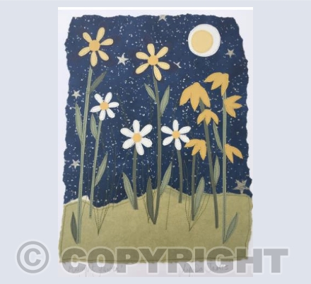 Midnight Garden