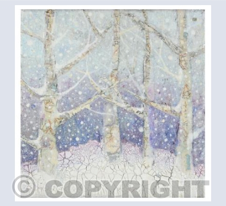 Winter Forest