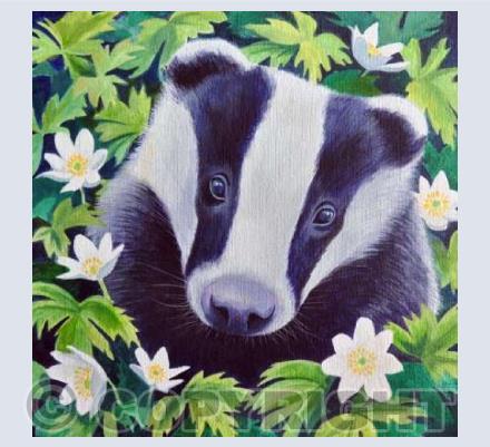 Badger and Wood Anemones