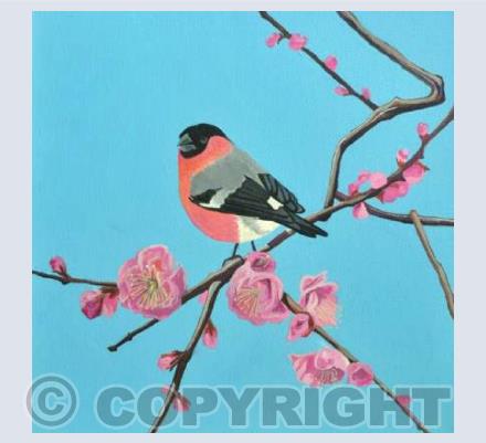Bullfinch and plum