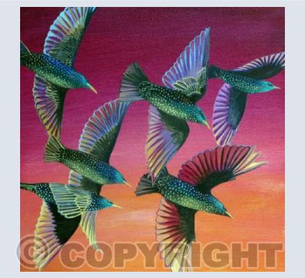 Flying colours