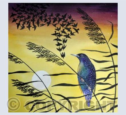 Starling in the Reeds