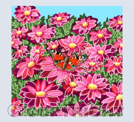 Peacock butterfly