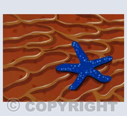 Starfish