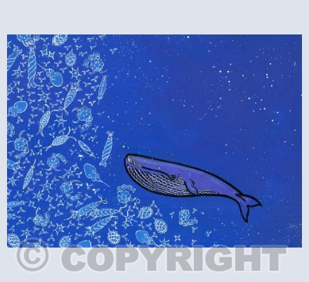 Whale and plankton