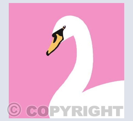 Swan on Pink