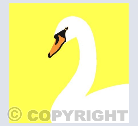Swan on Yellow