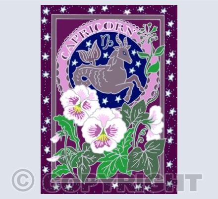 Capricorn