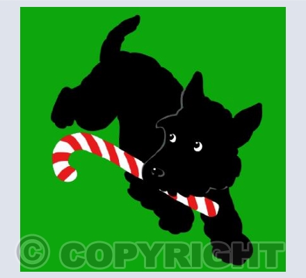 Xmas Lolly