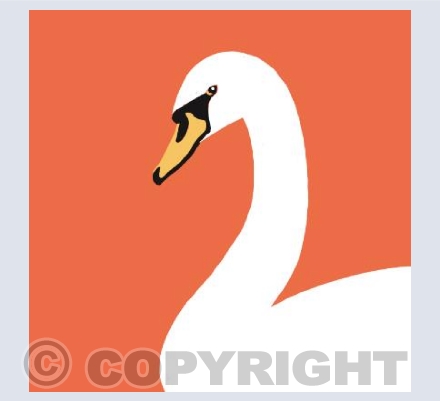 Swan/orange