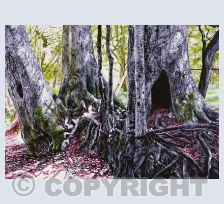 Woodland Habitat in Spring (Fairy Homes 2)