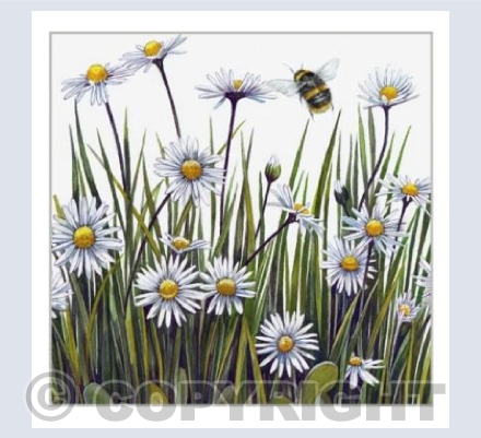Daisies