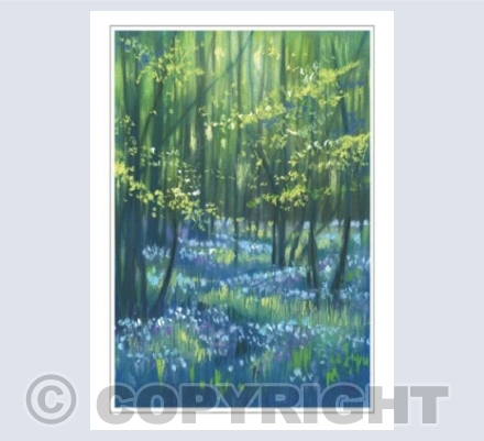A Blaze of Blue