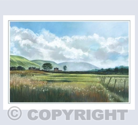 House on the Moorside