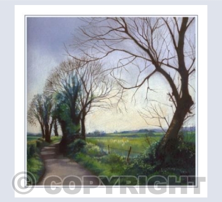 Dorset Lane