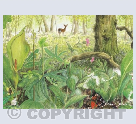 'Sitting Tree' Chuch Way Wood