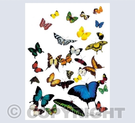 Tropical Butterflies of the World