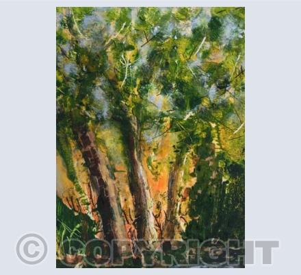 Autumn Woodland Light