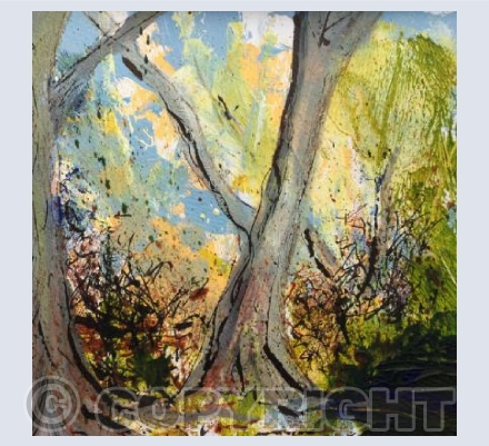 Autumn Woodland