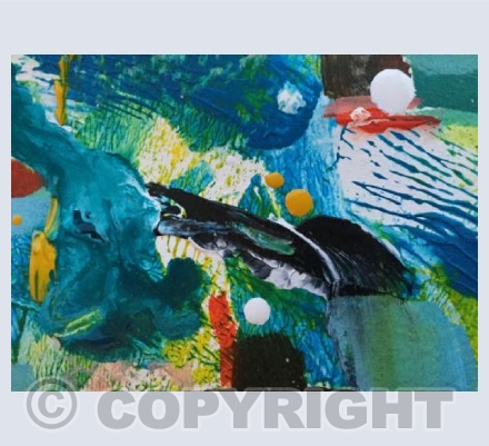 I Saw a Dolphin Today