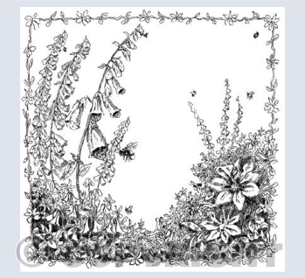 The bees and the Foxgloves