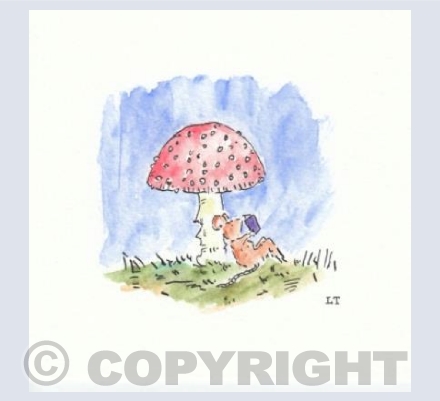 "under the fly agaric"