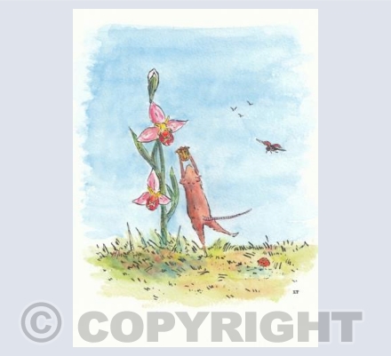 "collecting honey"