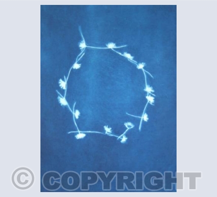 Daisy's Chain